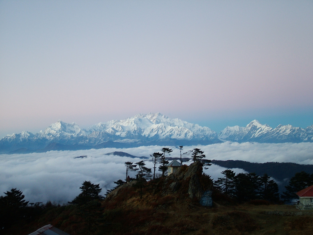 Snow-covered Kanchenjunga mountain range viewed from Sandakphu at sunrise with pine trees and clouds below.