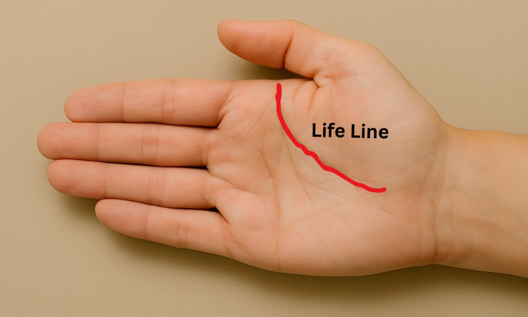 An open palm with the life line marked in red, illustrating what your palm lines say about you.