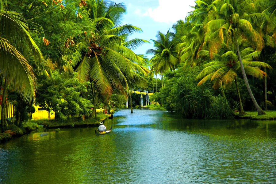 Scenic view of Kerala backwaters with lush green palm trees, a small boat gliding through calm waters, and serene surroundings, making it a perfect budget-friendly honeymoon destination.