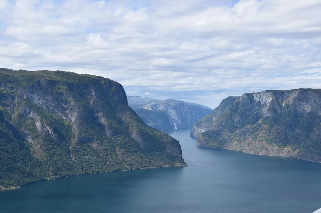 stunning view of a deep blue Norwegian fjord surrounded by steep, forested cliffs under a cloudy sky.