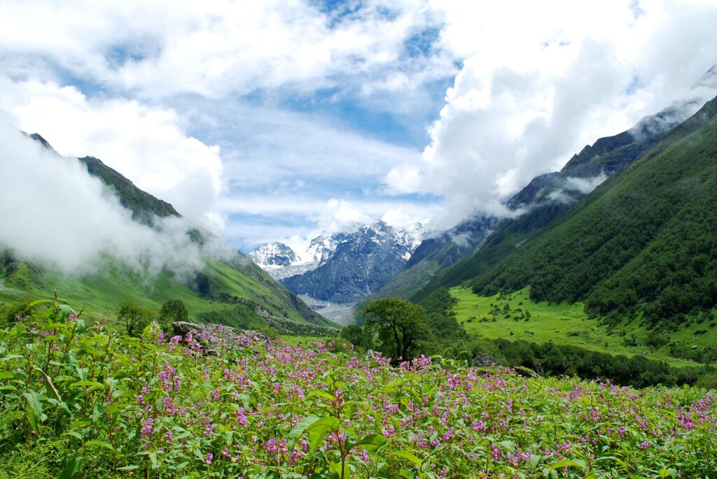 Most beautiful places in the world – Valley of Flowers in Uttarakhand, India, with vibrant wildflowers, lush green mountains, and snow-capped peaks.